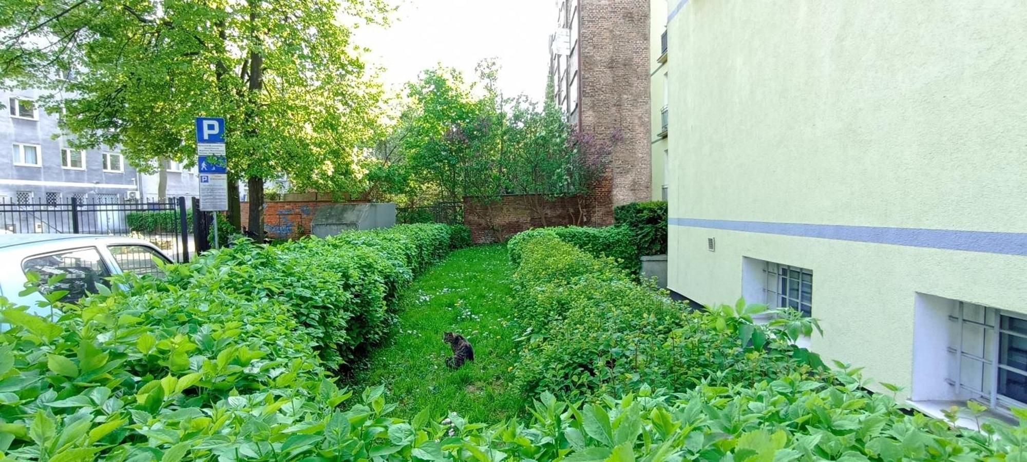 Katarzynka Gdansk Stare Miasto Esterno foto