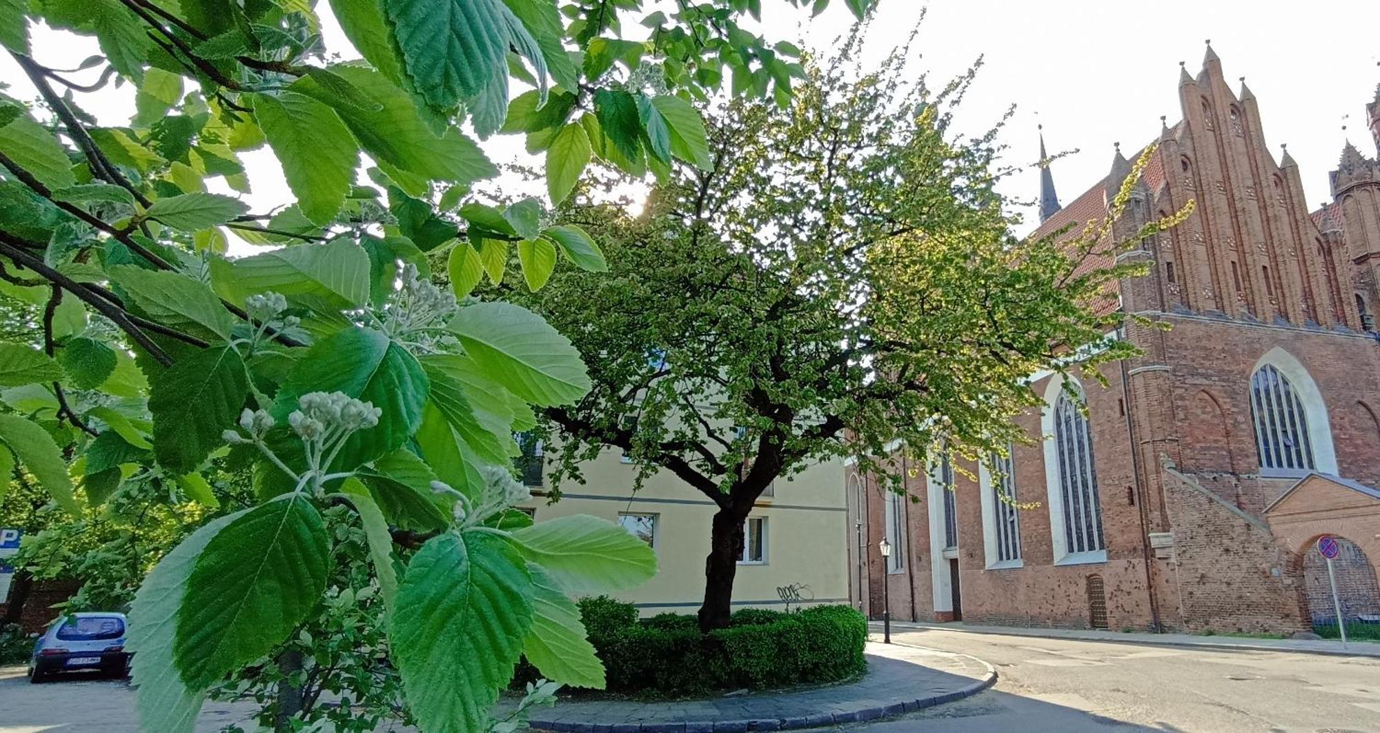 Katarzynka Gdansk Stare Miasto Esterno foto